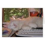 Sleeping on the Job cards