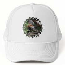 Sleeping Panda Bear  Baseball Hat