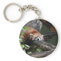 Sleeping Panda Bear  Keychain