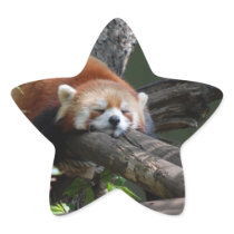 Sleeping Panda Bear  Stickers