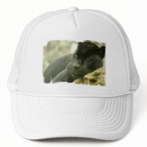 Sleeping Panther Baseball Hat