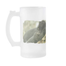 Sleeping Panther Frosted Beer Mug