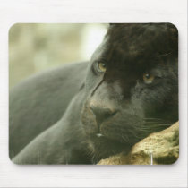 Sleeping Panther Mouse Pad
