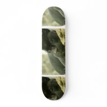 Sleeping Panther Skateboard