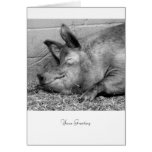 Sleeping Pig - Personalizable For All Ocassions Cards
