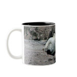 Sleeping Polar Bear Mug