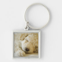 Sleeping Poodle puppy 2 Key Chain