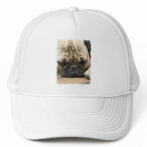 Sleeping Pug Baseball Hat