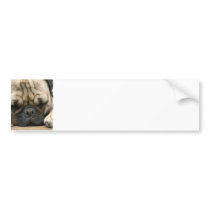 Sleeping Pug Bumper Sticker
