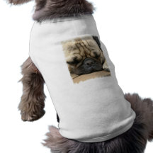 Sleeping Pug Dog Shirt