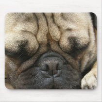 Sleeping Pug Mouse Pad