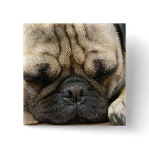 Sleeping Pug Square Pin