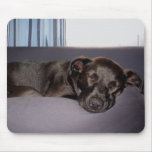 Sleeping Puppy Mouse Pads