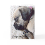 Sleeping Puppy New Puppy Greeting Card
