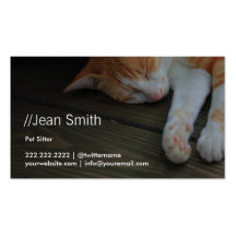 Sleeping Pussy Cat Pet Sitting Business Card