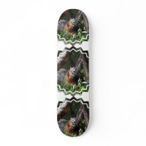Sleeping Red Panda  Skateboard
