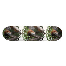 Sleeping Red Panda  Skateboard