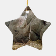 Sleeping Rhinos Ornament