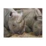 Sleeping Rhinos Postcard