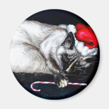 Sleeping Santa Claws Magnets