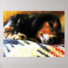 Sleeping Snuggles Print