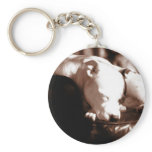 Sleeping Stafford keychains
