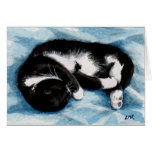 Sleeping Tuxedo Cat Paiting Note Card cards