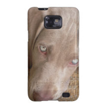 Sleeping Weimaraner Samsung Galaxy Case