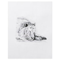 Sleeping White Tiger head and paws Pencil Drawing Personalized Flyer