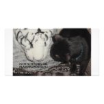 SLEEPING WHITE TIGER CUSTOMIZED PHOTO CARD