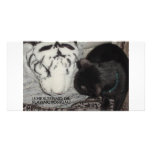 SLEEPING WHITE TIGER photo cards