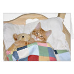 Sleeping with Teddy cards