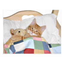 Sleeping with Teddy Postcard
