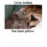 SleepingKitties, Love makesthe best pillow. t-shirts