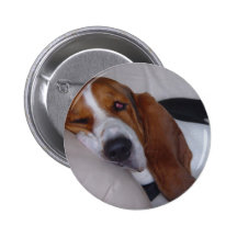 Sleepy Basset Hound Pinback Button