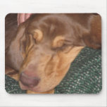 Sleepy Bloodhound Mouse Pads
