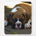 Sleepy boxer puppy mousepad