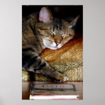 Sleepy Cat Book Painting Posters