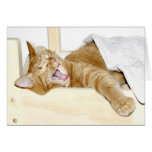 Sleepy cat cards
