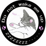 sleepy cat 切り抜き