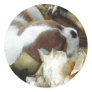 Sleepy Cavalier Round Sticker