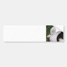 Sleepy Duck Bumper Sticker