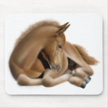 Sleepy Foal Mousepad
