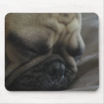 sleepy frenchy mousepads