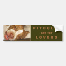 Sleepy Girl Bumper Stickers