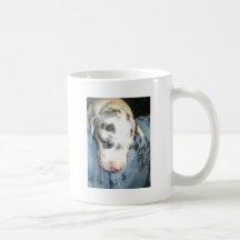 Sleepy Harlequin Puppy Coffee Mugs