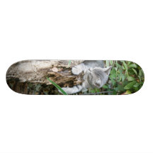 Sleepy kitten skateboard