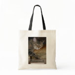 Sleepy Kitty Book Bag