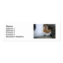 Sleepy Kitty Business Cards