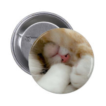 Sleepy Kitty Button